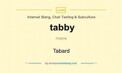 tnablard|Tabard Definition & Meaning